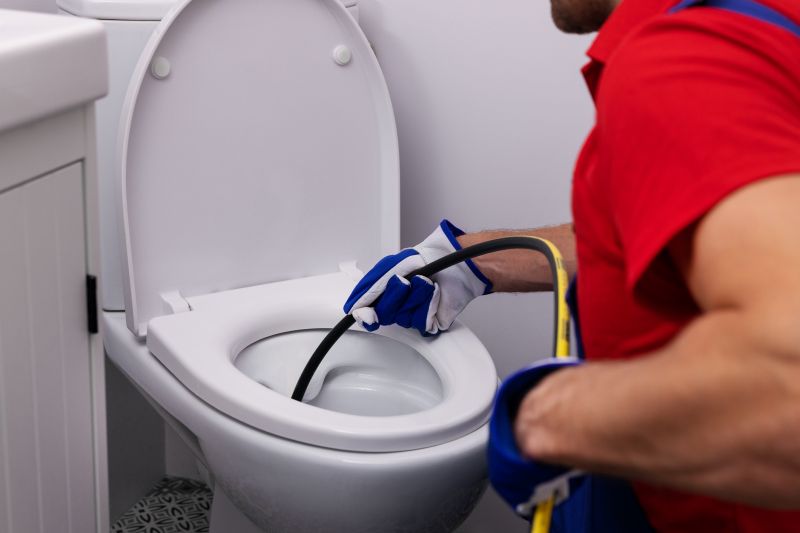 Backed Up Toilet Repair